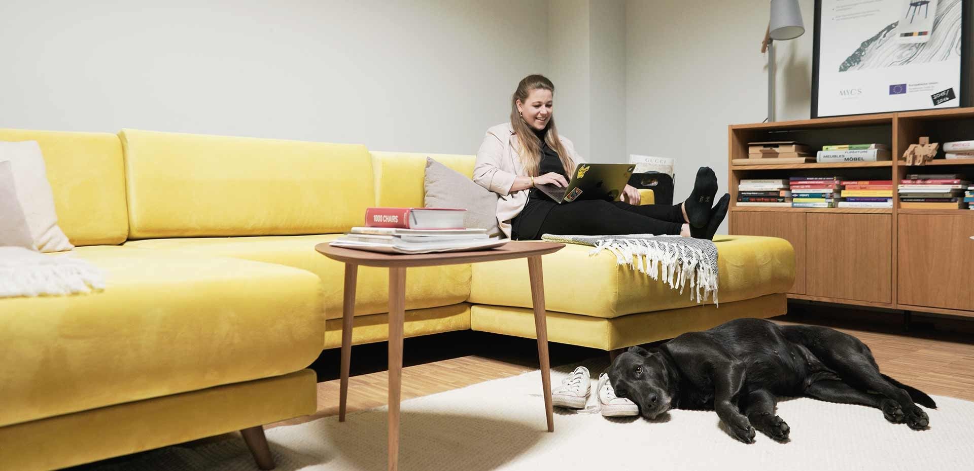 yellow sofa with dog